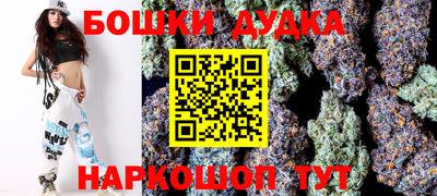 индика Тула