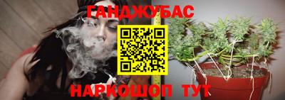 индика Тула
