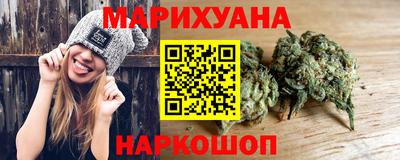 индика Тула