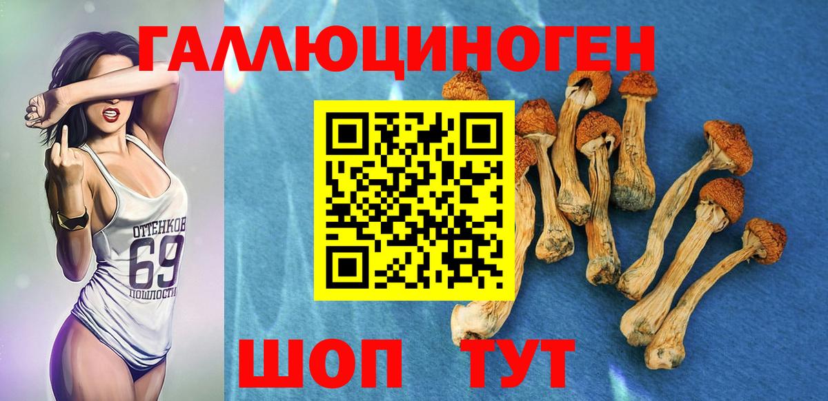 Галлюциногенные грибы мухоморы Борисоглебск